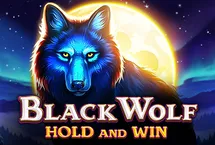 RTP quickspin evorabid77